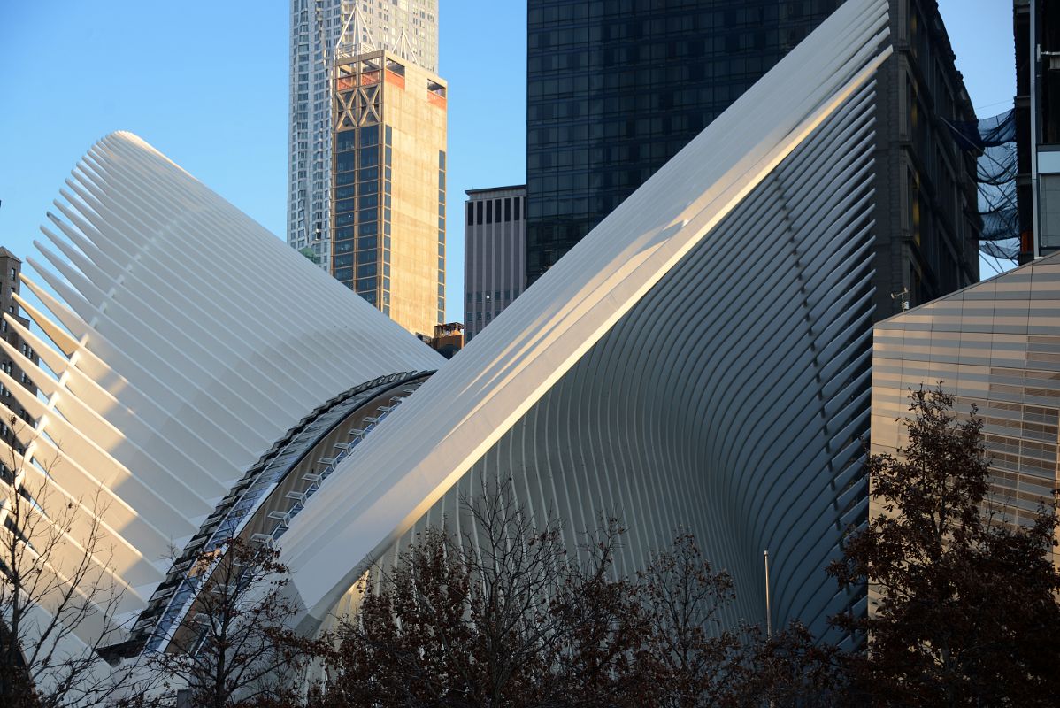 10B The Oculus With New York By Gehry And The Beekman Behind Late Afternoon